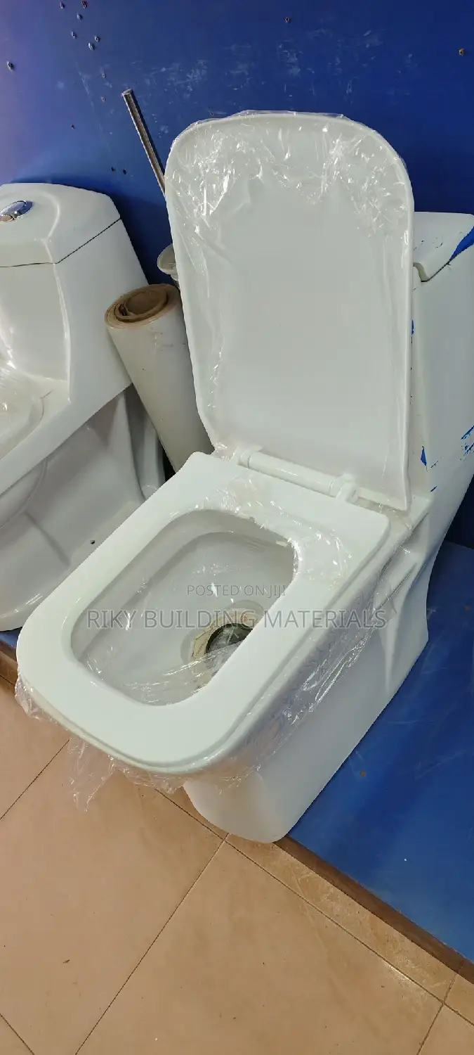 Toilet One Pc Set