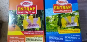 Entrap Fruit Fly Traps