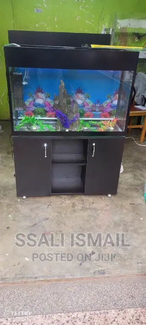 A Black Well Designed Aquarium