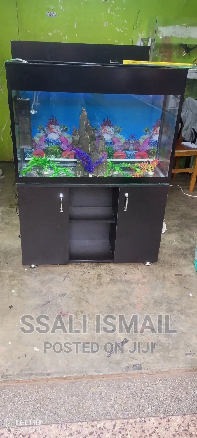 A Black Well Designed Aquarium