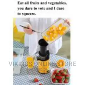 Electric Slow Juicer Fruit Blending Machine- Black