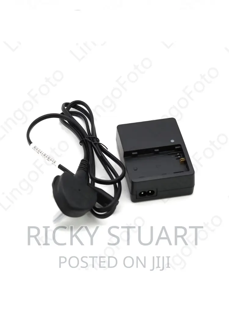 High Quality E6 Battery Charger for Canon 60D,6D,5D,70D,80D