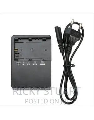 High Quality E6 Battery Charger for Canon 60D,6D,5D,70D,80D