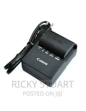 High Quality E6 Battery Charger for Canon 60D,6D,5D,70D,80D