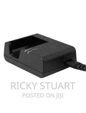 Lp-E10 Battery Charger for Canon(110D,1200D,1500D,2000D,)
