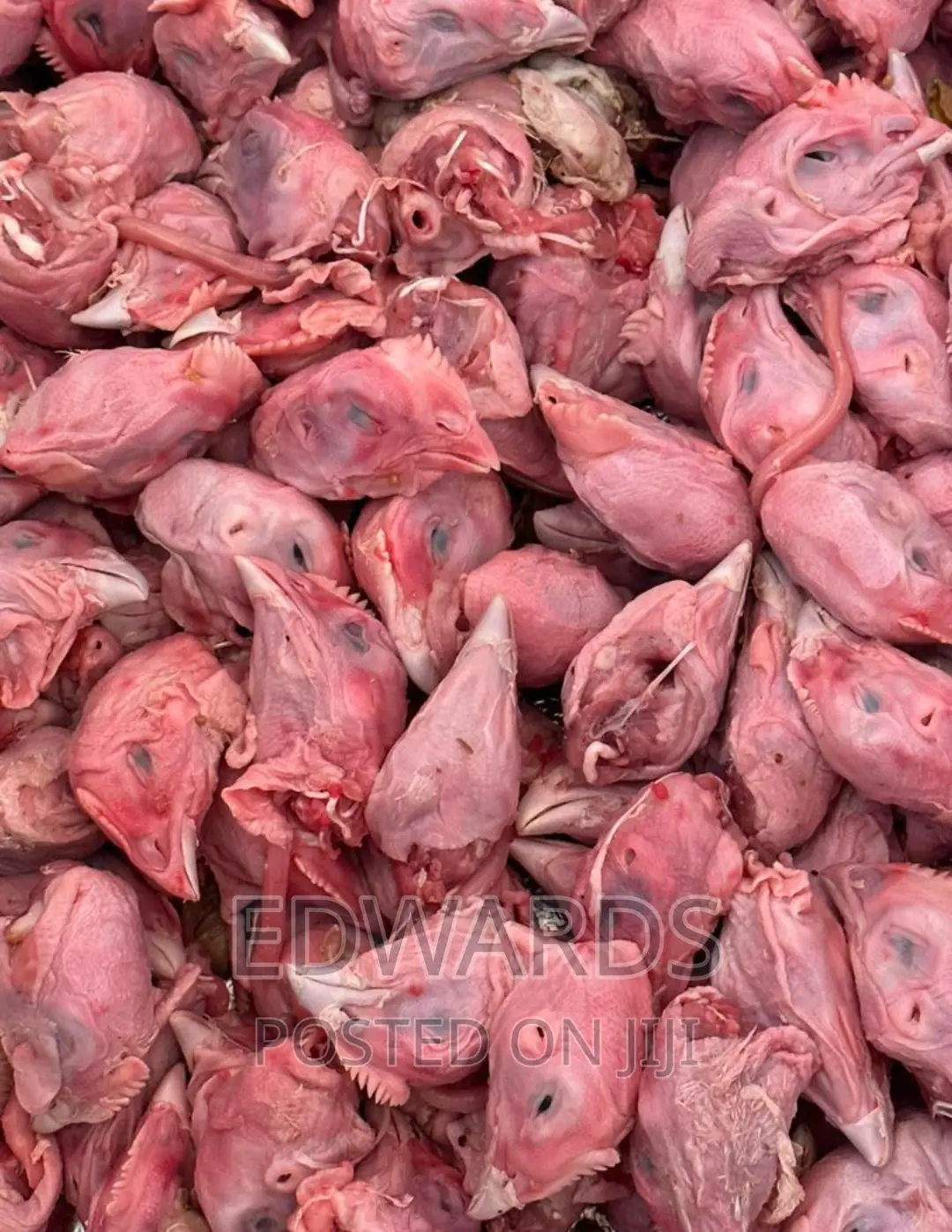Chicken Heads for Dogs