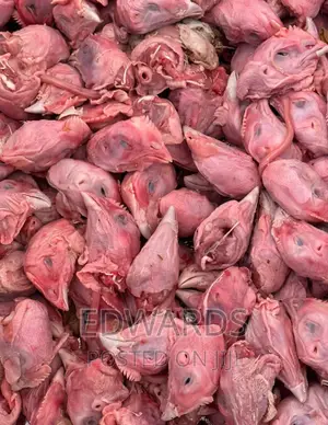 Chicken Heads for Dogs