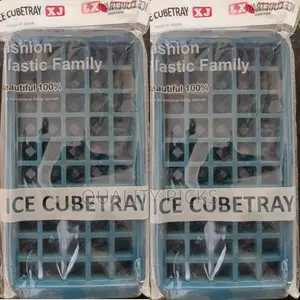 Small Ice Cube Tray