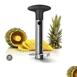 Stainless Steel Pineapple Cutter.