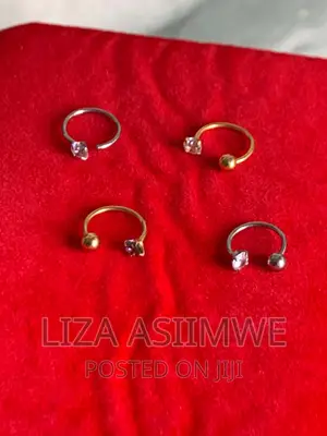 Nose Screw Pins Available