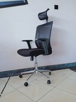 Ergonomic Office Chair