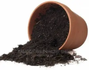 Plants Black Soil and Fertilizer
