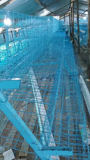 160 Layer Cages , Replacement and Customized 