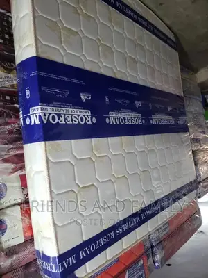 Rose Foam Smart Premium 6*5*8.Inches