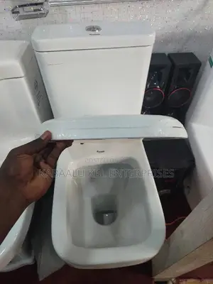 Good Quality Toilet Complete Set(Frencia)
