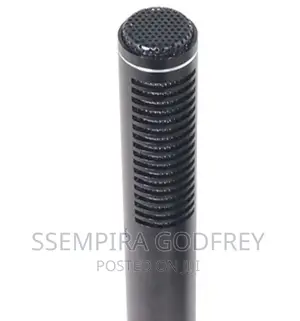 Condenser Boom Panasonic Microphones