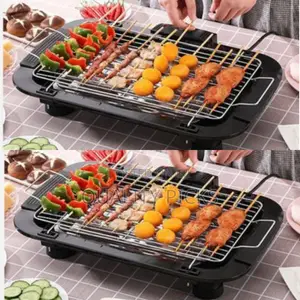 Electric BBQ Grill