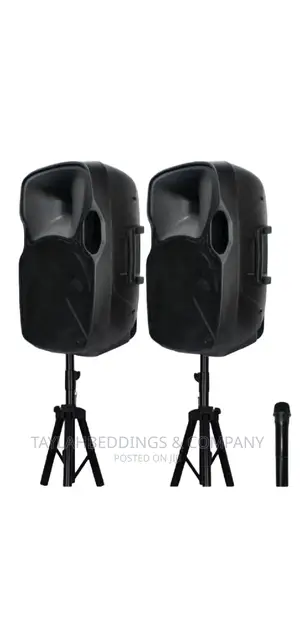 Double Speaker Sound System With Microphones
