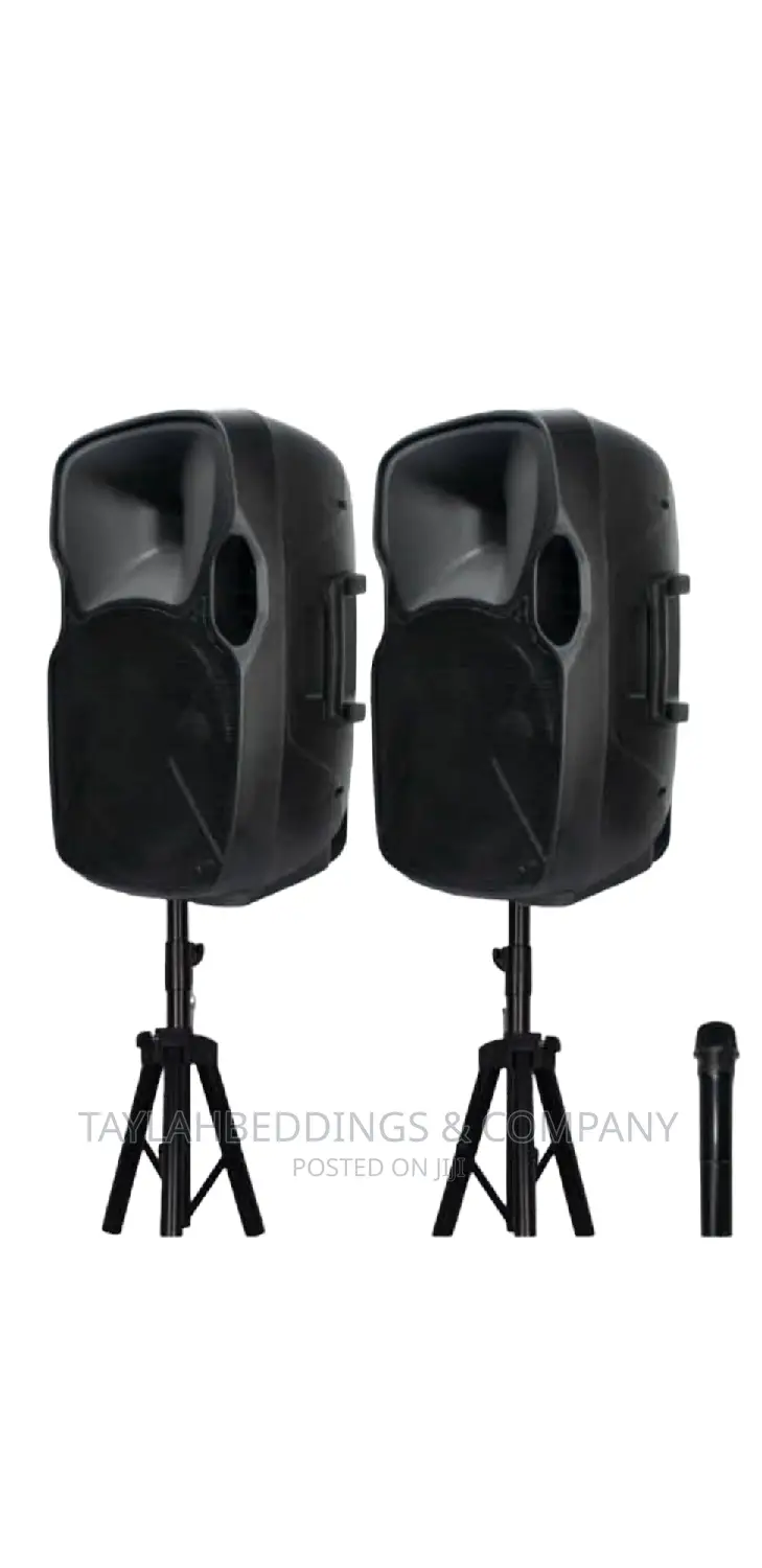 Double Speaker Sound System With Microphones