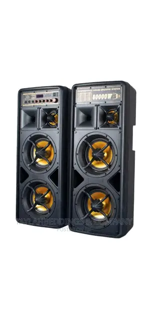 Rechargeable Ailupu Speaker With Wireless Microphone