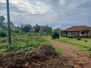 25 Decimals Plot Onquicksale Heart of Kabowa Gd 4 Apartments