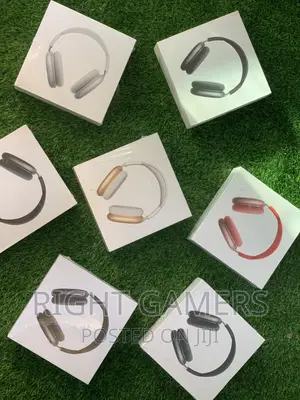 Apple Airpods Pro Max (High Copy)