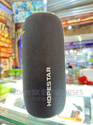 Hopestar P35 Wireless Speaker