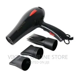 Fakang Genuine Professional Hair Blow Hand Dryer
