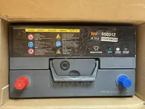 N70Z UBL Maintenance Free