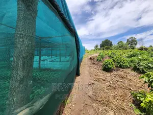 Shade Nets.