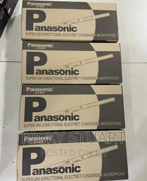 Panasonic Boom Mic