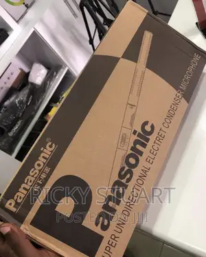 Panasonic Boom Mic