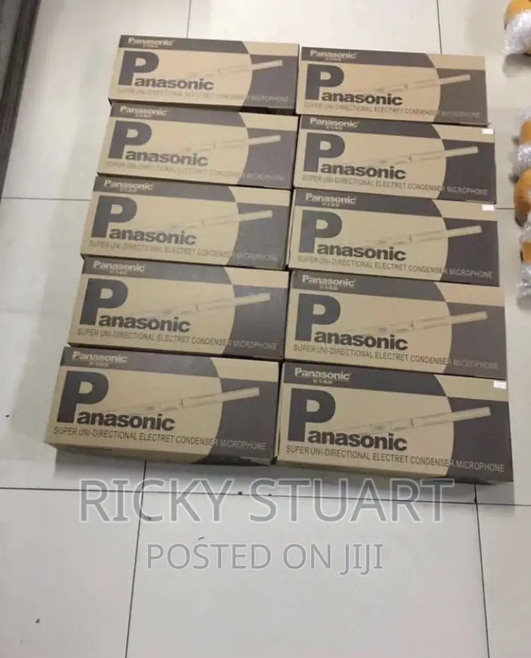 Panasonic Boom Mic