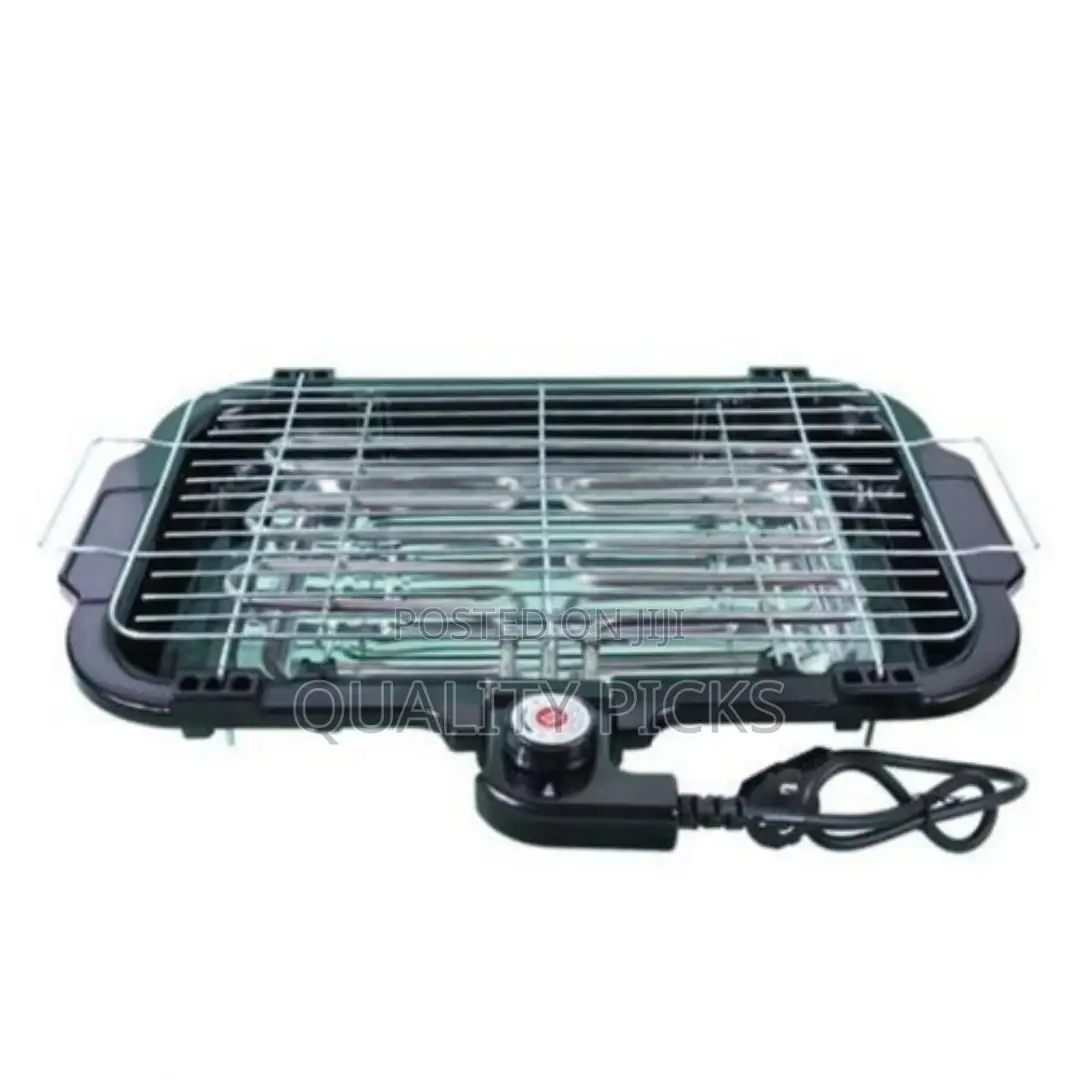 Electric BBQ Grill
