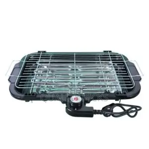 Electric BBQ Grill