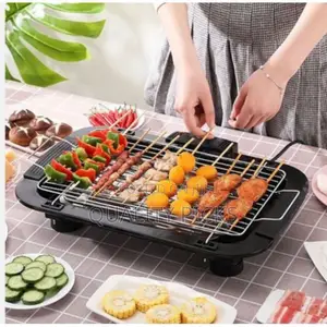 Electric BBQ Grill