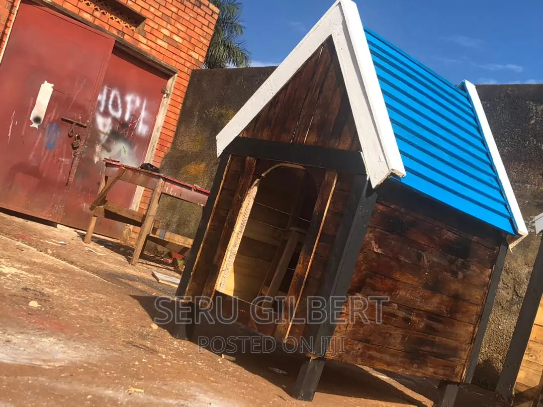 Blue Nice Dog House Available