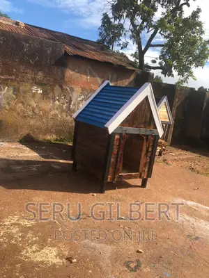 Sutv Nice Dog House Available at Good Prices