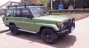 Tourist Car for Hire