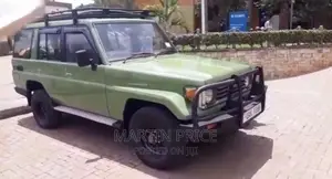 Tourist Car for Hire