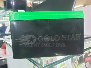 Gold Star Deep Cycle Battery for UPS 12v 7ah at 20hr