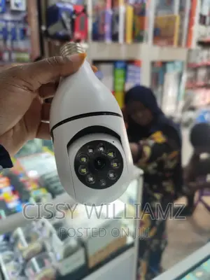 Bulb Rotating Security Camera/Surveillance Cameras