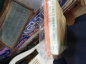 Nissan Air Filter