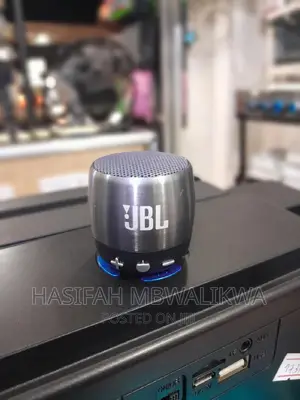 JBL Mini Portable Speaker