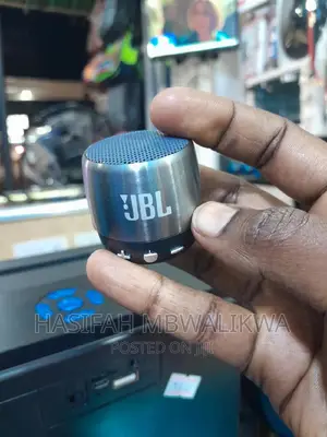 JBL Mini Portable Speaker