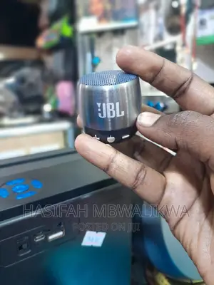 JBL Mini Portable Speaker