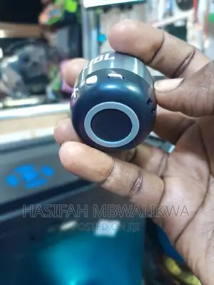 JBL Mini Portable Speaker