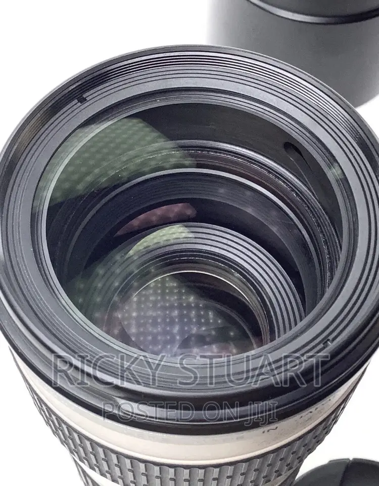 Canon 70-200mm Lens F4