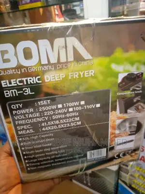 Electric Deep Fryer