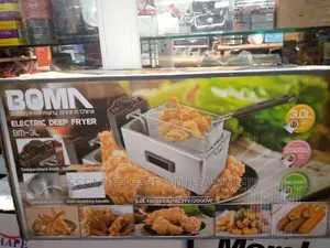 Electric Deep Fryer